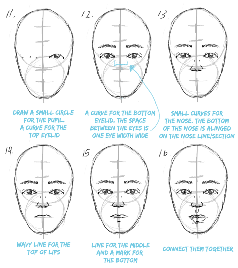 Drawing Face Proportions | SCYAP