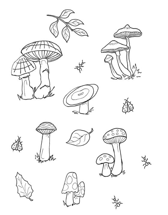 Mushroom Colouring Sheet