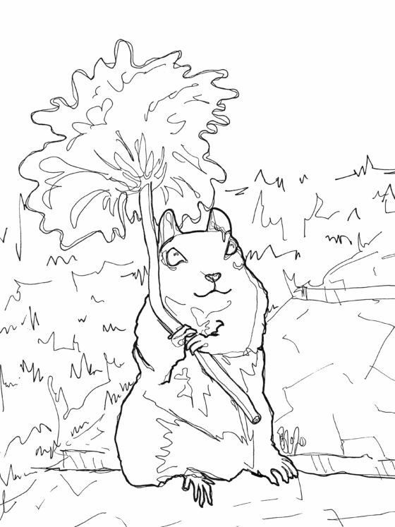 Flower Squirrel Colouring Sheet