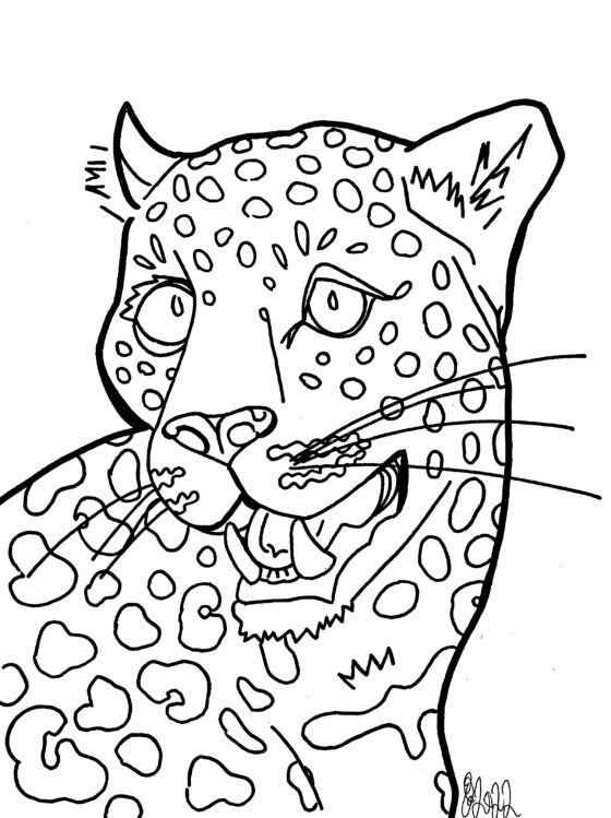Leopard Colouring Sheet